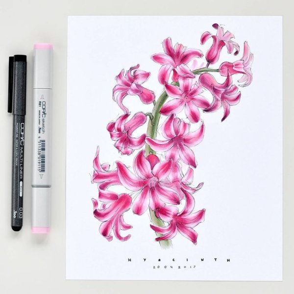 Цветы фломастерами