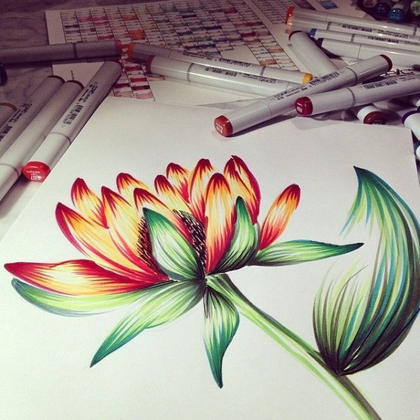 Рисунок легкий