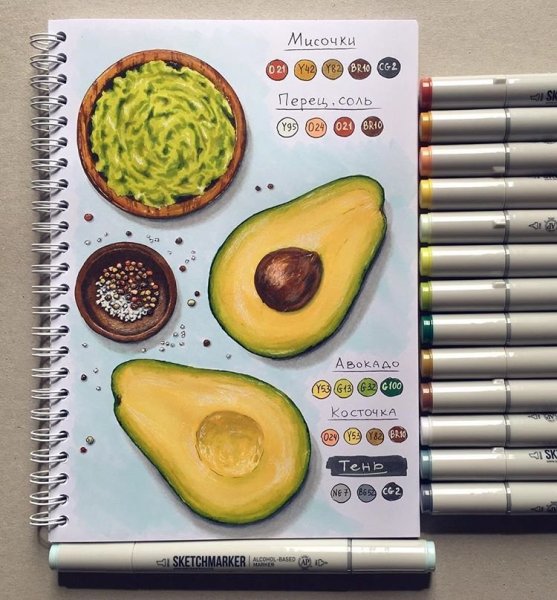 Скетчинг авокадо маркерами