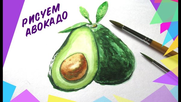 Уроки рисования авокадо