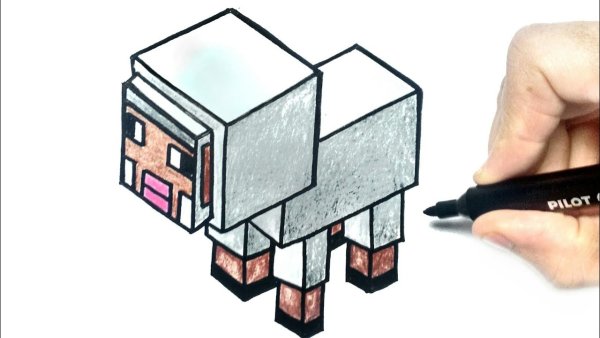 Нарисовать овцу в МАЙНКРАФТЕ