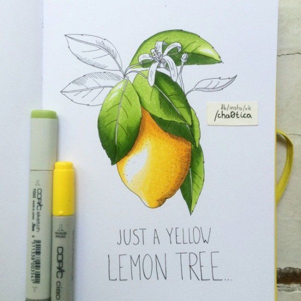 Иллюстрации фруктов маркерами