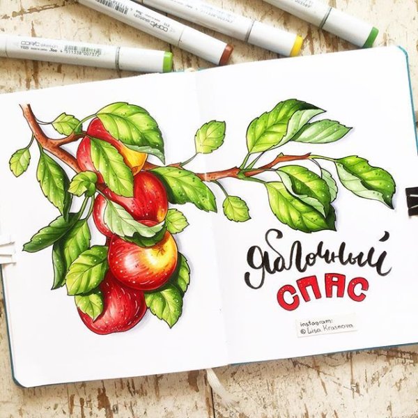 Рисунки фруктов фломастерами