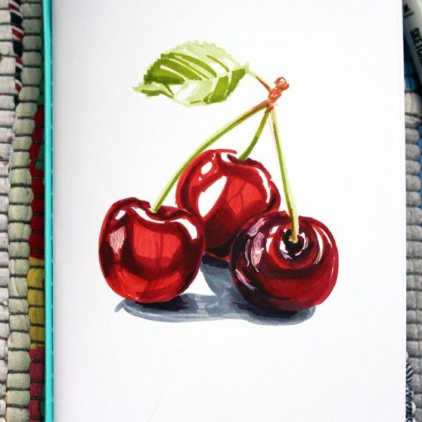 Фрукты для скетчбука