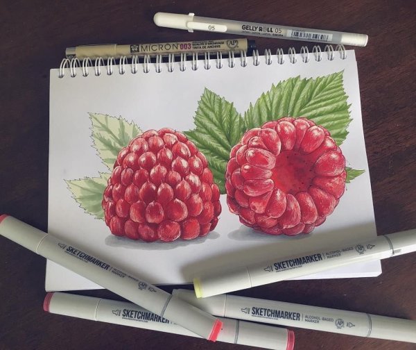 Лёгкие рисунки для скетчбука маркерами