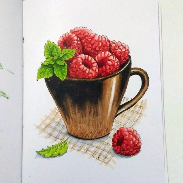 Скетчинг маркерами фрукты