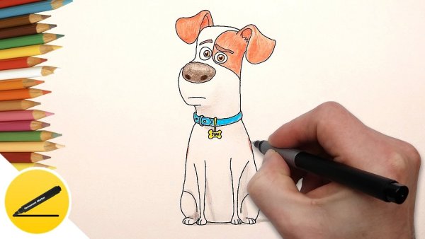 Как нарисовать собаку