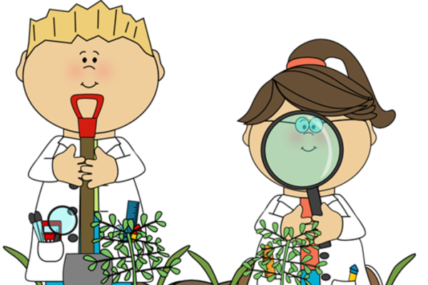 Маленькие исследователи