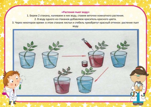 Схема опытов для дошкольников