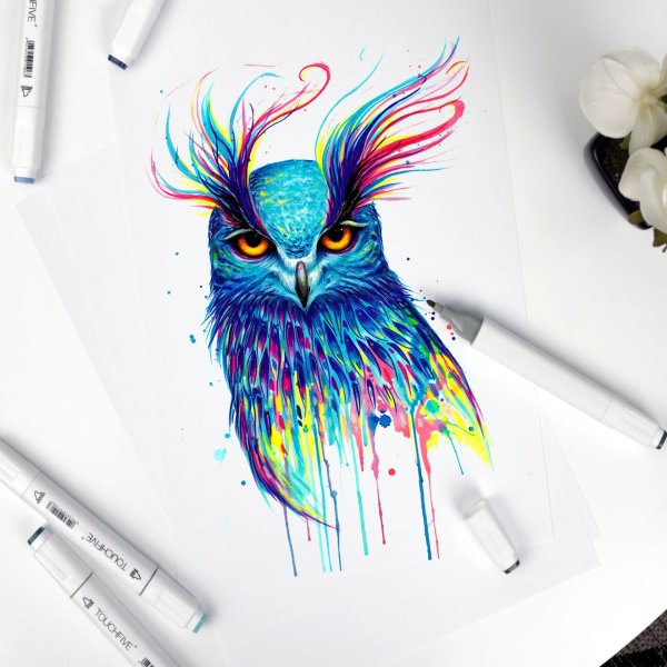 Скетчи маркерами Touch Raven