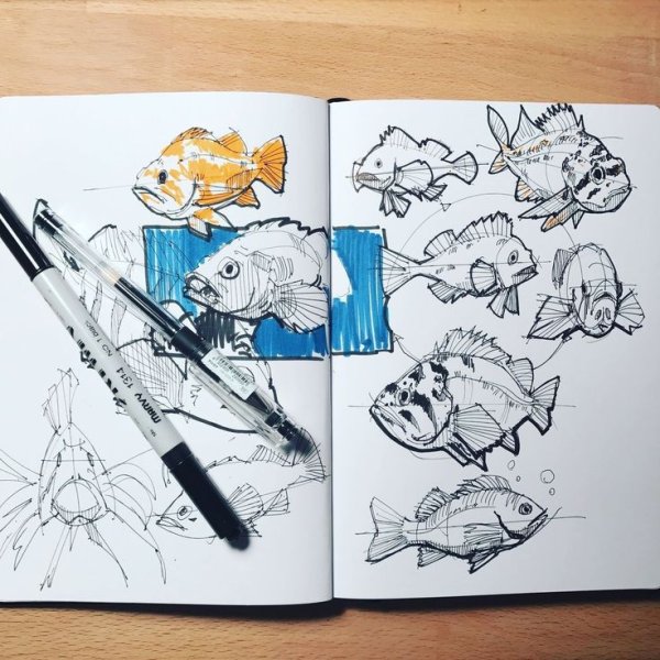 Скетчбук для рисования