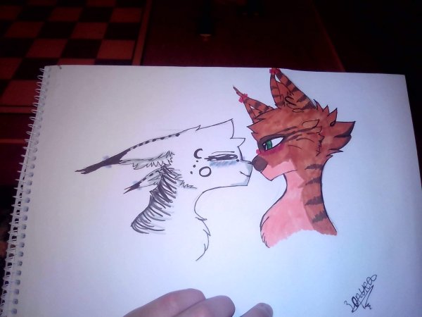 Коты Воители для срисовки