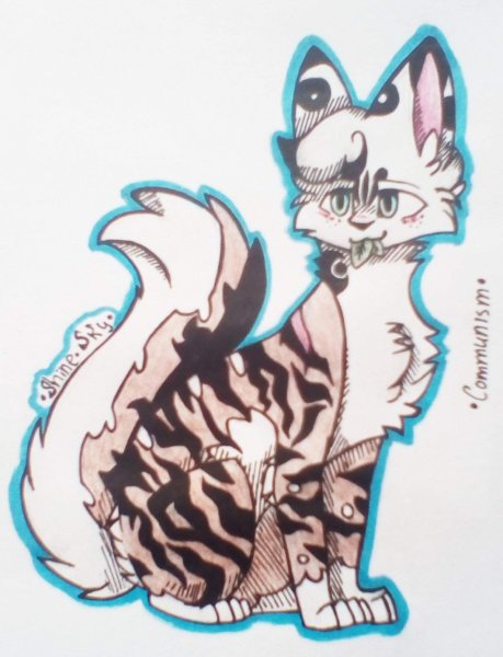 Коты Воители маркерами