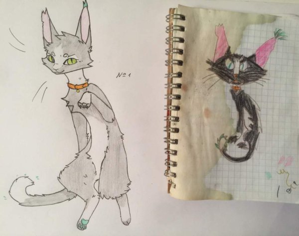 Котиркти для скейчбука