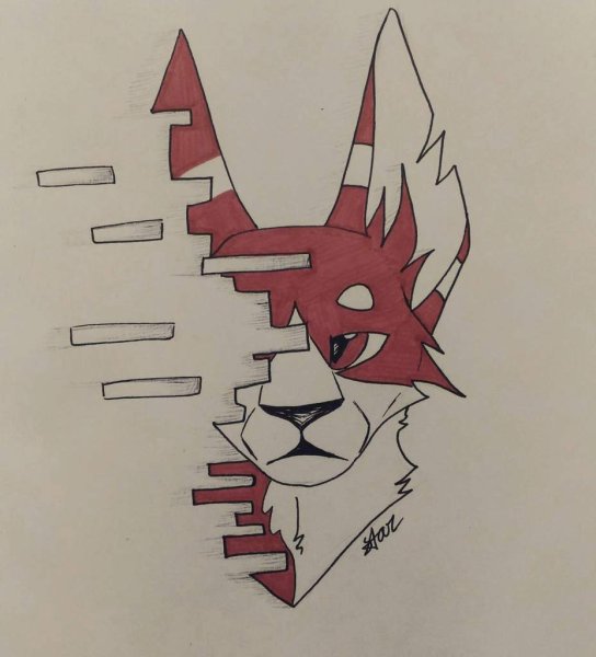 Коты Воители для зарисовки скетчбука