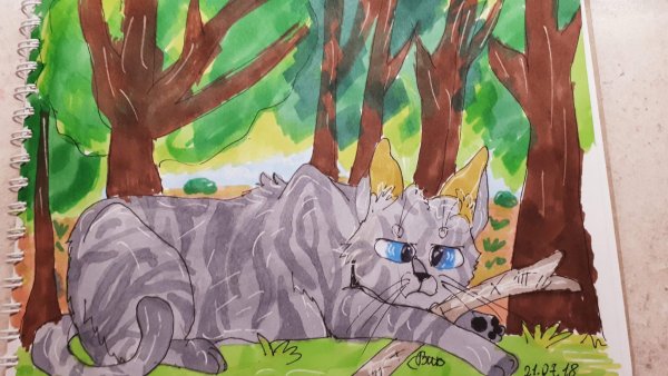 Коты Воители маркерами