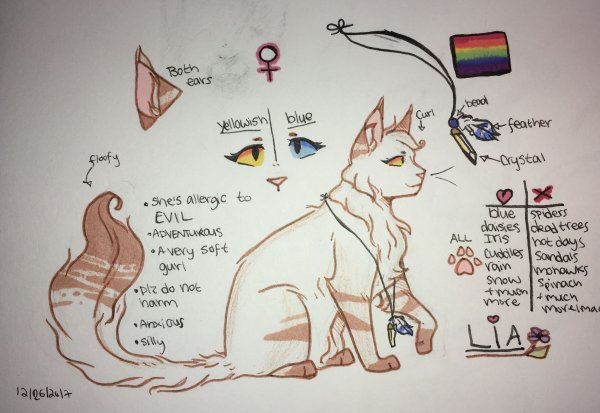 Идеи для рисунков котов