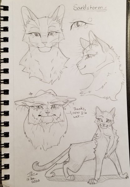 Коты Воители скетчи
