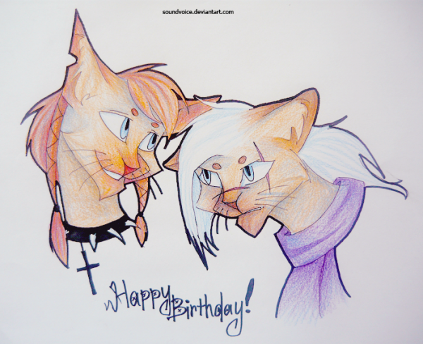 Коты Воители арты карандашом