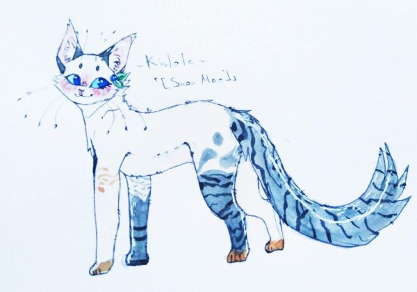 Амино коты Воители скетчи