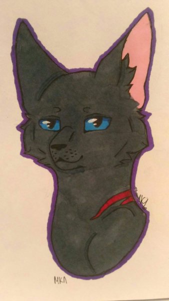 Коты Воители рисунки для срисовки синяя звезда