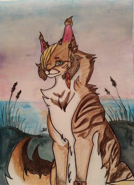 Коты Воители Мико