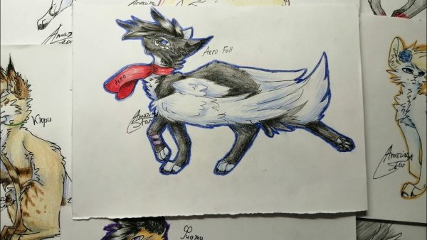 Рисунки котов воителей Мура Рэй