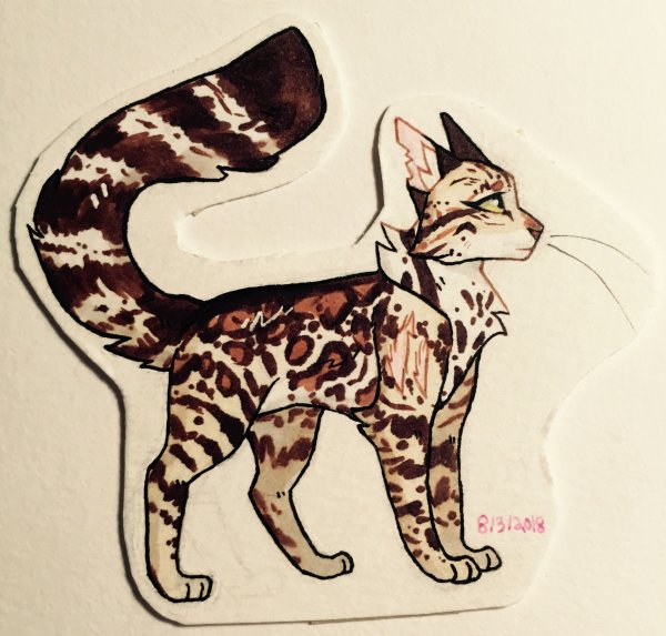 Скетчбук кошка