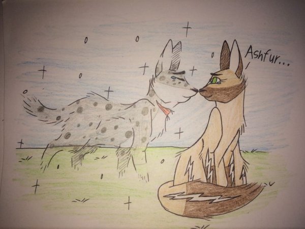 Коты Воители рисунки в скетчбуке