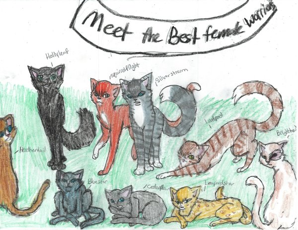 Открытка с котами воителями с днем рождения