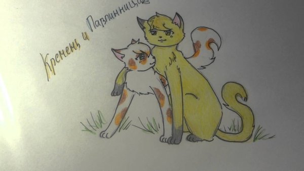 Картинки котов воителей для срисовки