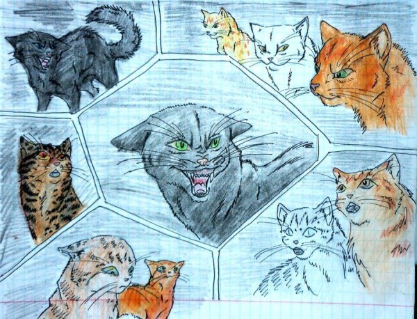 Рисование котов воителей