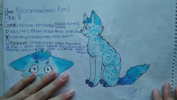 Коты Воители рисунки Дарья кот