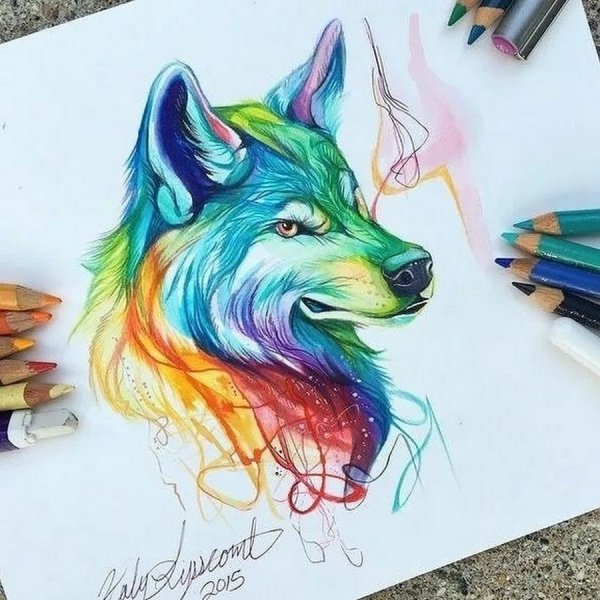 Иллюстрации Кэти Липскомб