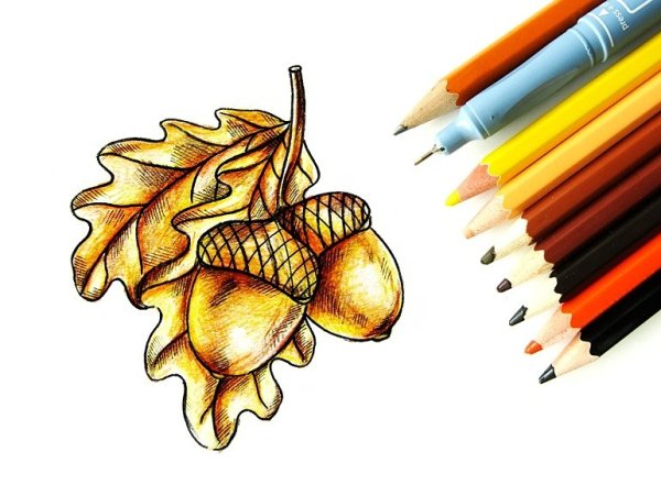Кленовый лист цветными карандашами