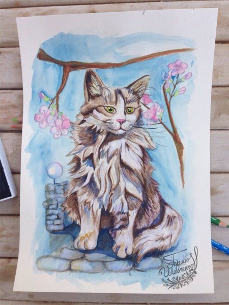 Кот маркерами