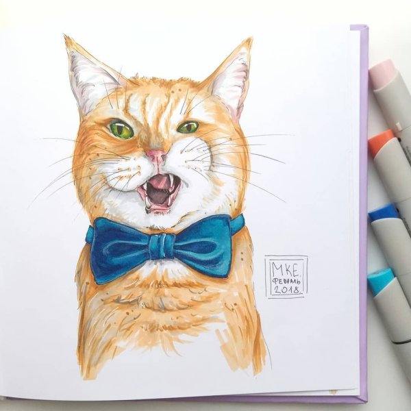 Кот маркерами