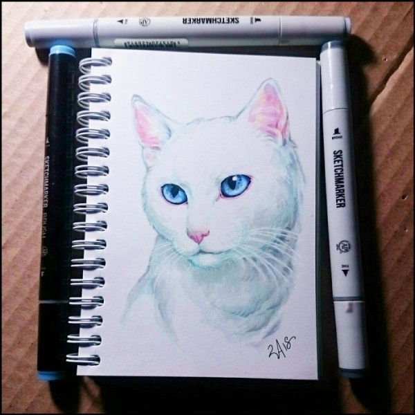 Котики для рисования в скетчбуке