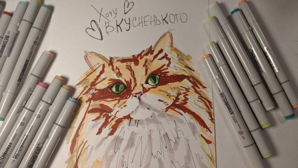 Кот фломастерами