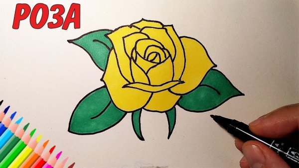 Цветы маркерами Copic