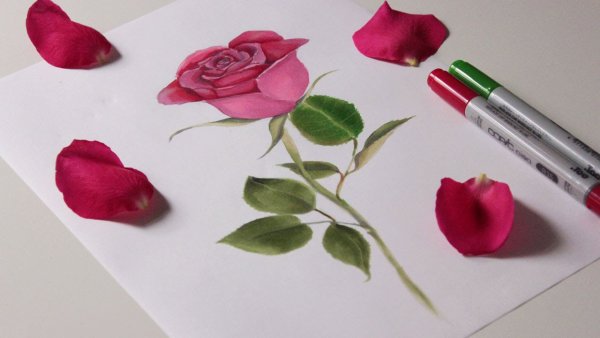 Рисунок для мамы фломастерами