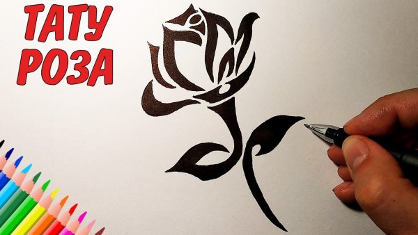 Роза скетч маркерами