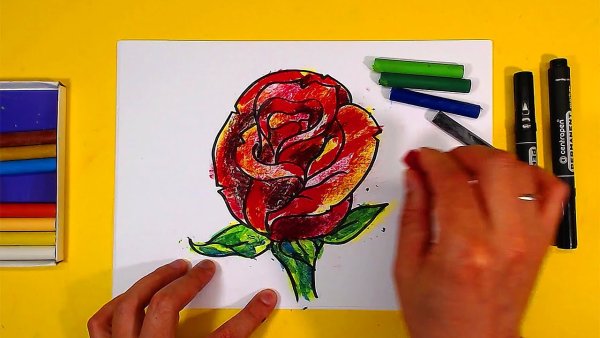 Рисунки акварелью для срисовки