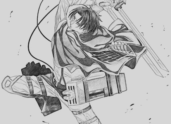 Леви рисвоки