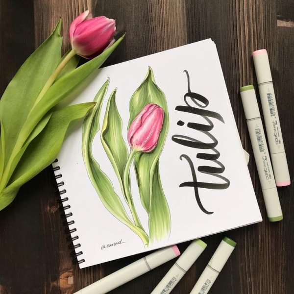 Пионы скетчинг маркерами