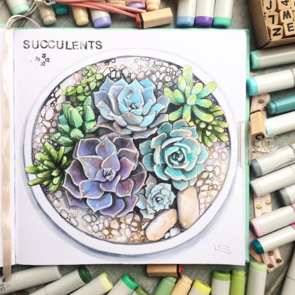 Рисование цветов маркерами