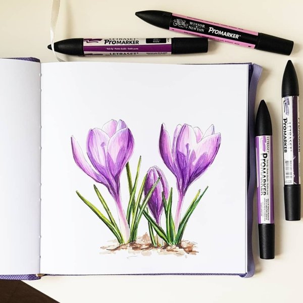 Цветы фломастерами