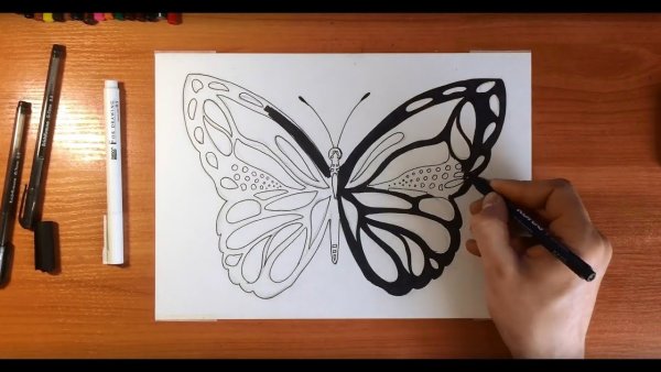 Бабочка фломастерами
