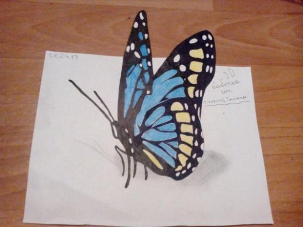 Бабочка рисунок фломастерами