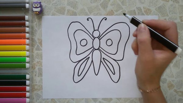 Бабочка фломастерами